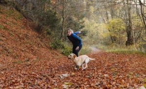 Dog walks at Bewl Water