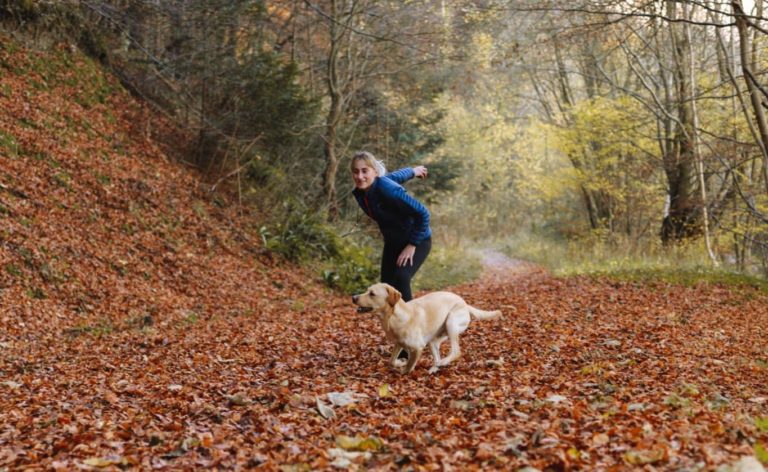 Dog walks at Bewl Water